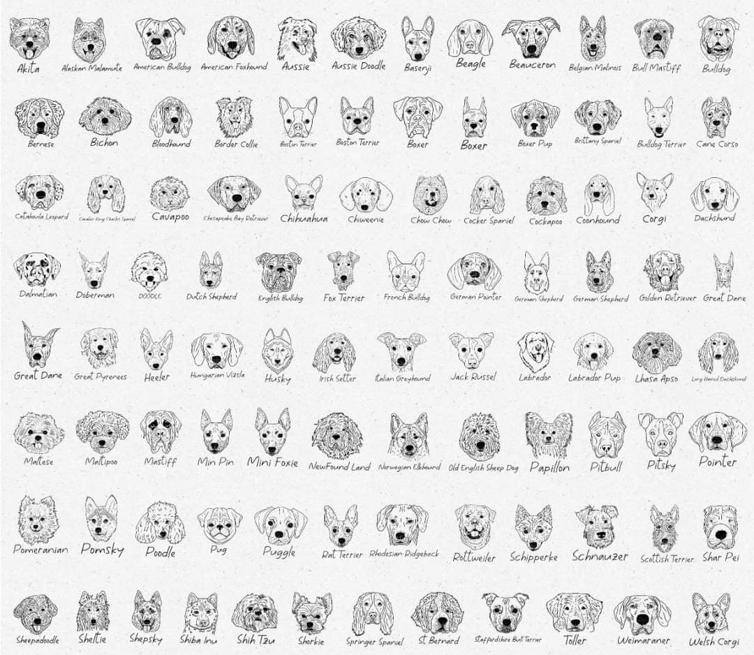 Dog Breed Decals